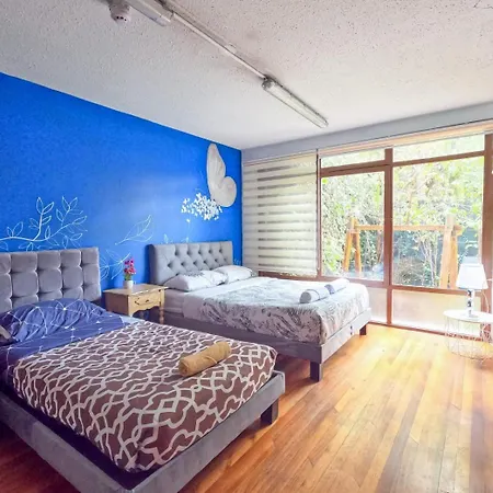 Blue House La Floresta Quito Exterior photo