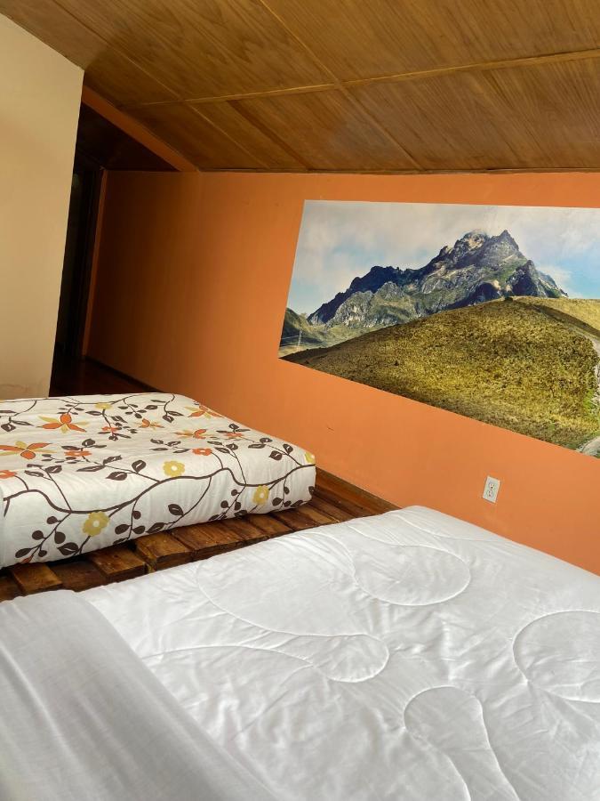 Blue House La Floresta Hostel Quito
